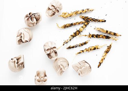 Scolpiscono e bruciano le orecchie di grano su sfondo bianco. Crisi alimentare mondiale. L'invasione russa dell'Ucraina 2022 Foto Stock