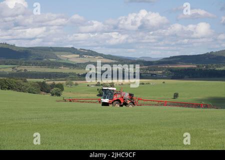 Un irroratrice per colture che opera in un campo in una mattinata estiva soleggiato con vedute panoramiche della campagna dell'Aberdeenshire. Foto Stock