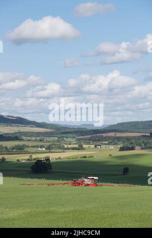 Un raccolto che irrora in un campo di Spring Barley in una mattinata estiva soleggiato con vedute panoramiche della campagna dell'Aberdeenshire. Foto Stock