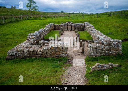 Tempio di Mitra, Carrawburgh, Muro di Adriano. Costruito vicino al forte romano di Carrawburgh intorno al 200 d.C. dai soldati del forte e distrutto intorno al 350 d.C. Foto Stock