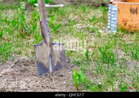 Pala bloccata a terra sul letto del giardino. Attrezzi di giardinaggio. Foto Stock