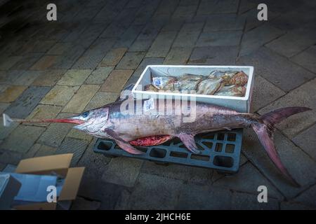 Pesce spada (Xiphias gladius) in vendita al mercato di Rialto a Venezia Foto Stock