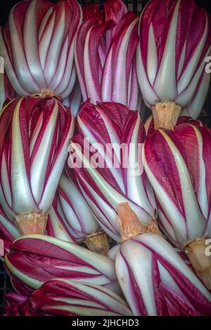 Bella esposizione di Radicchio Treviso al mercato Rialto di Venezia Foto Stock