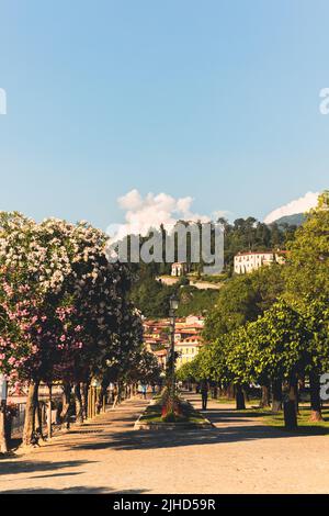 Escursioni attraverso il lago di Como Foto Stock