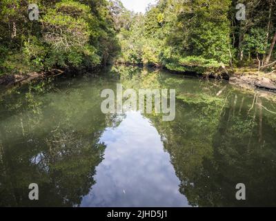 Verde foresta ripariana riflessi nel fiume Hacking, Royal National Park, Sydney. Foto Stock