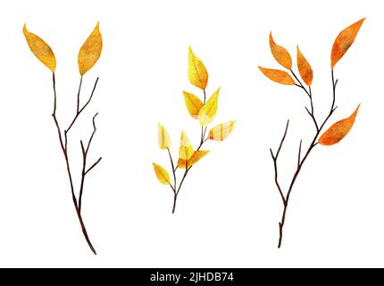 Acquerello illustrazione disegnata a mano di rami sottili dell'albero ramoscelli con foglia arancione gialla. Autunno caduta foresta legno bosco elementi naturali, ottobre novembre clipart Foto Stock