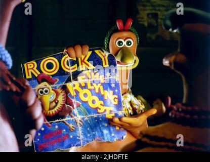 Lo zenzero, il pollaio, 2000 Foto Stock