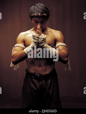 TONY JAA, ONG-BAK: il guerriero thai, 2003 Foto Stock