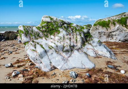 Grandi rocce sulla spiaggia sabbiosa, ricoperte di alghe verdi durante la bassa marea, vista grandangolare, su una spiaggia sulla costa del Regno Unito. Foto Stock