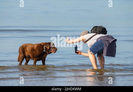Donna sulla spiaggia che scatta una foto di un cane domestico in mare, mentre posa per un selfie. Foto Stock