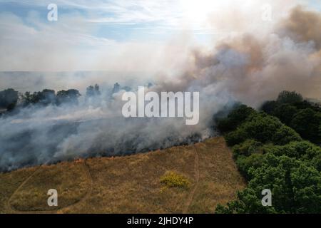 Enormi incendi selvatici in campi agricoli Essex Ongar Foto Stock