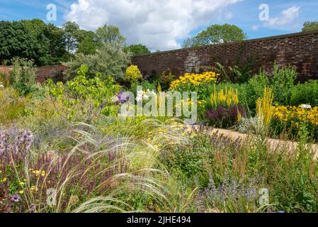 RHS Bridgewater giardino, vicino Manchester, Inghilterra a metà estate. Il paradiso giardino con piantagione di perenni colorati, arbusti e erba ornamentale. Foto Stock