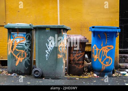 Bidoni dei rifiuti in un vicolo posteriore, Wellington, Isola del Nord, Nuova Zelanda Foto Stock
