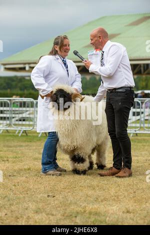Great Yorkshire Show, Harrogate, Regno Unito. Luglio 15, 2022. Primo piano ritratto di un Valais Blacknose pecora e gestore al Great Yorkshire Show, Harrogate, Foto Stock