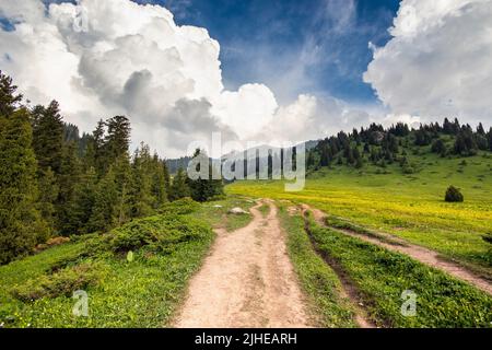 Paesaggio pittoresco sulle montagne di Almaty nel parco nazionale di Ile Alatau Foto Stock