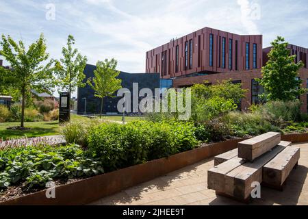 Nuovo spazio verde e reame pubblico tra il College City Hub e il Broad Marsh Car Park nel centro di Nottingham 2022 giugno, Nottinghamshire Inghilterra Regno Unito Foto Stock