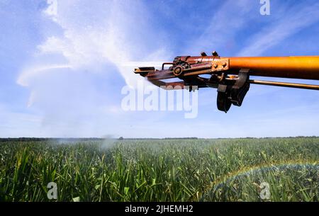 Peine, Germania. 18th luglio 2022. Un campo di mais nel distretto di Peine è irrigato. In considerazione della siccità e delle ondate di calore, gli agricoltori tedeschi sono preoccupati per il raccolto di quest'anno. (A dpa 'Farmers' president paure Crop loses due dry heat weather') Credit: Julian Stratenschulte/dpa/Alamy Live News Foto Stock