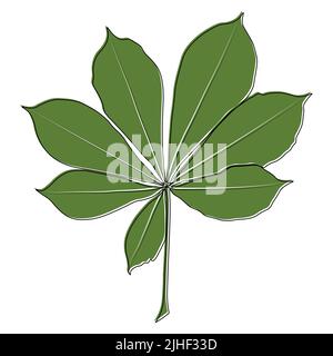 Profilo vettoriale della foglia di castagno e icona colorata. Semplice illustrazione delle foglie di castagno per il logo. Foglie realistiche disegnate a mano su sfondo bianco. Illustrazione Vettoriale