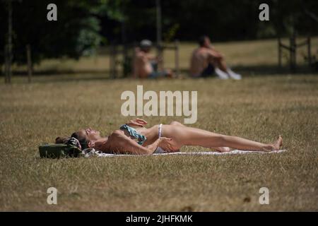 Una donna che prende il sole nel Regents Park di Londra durante l'ondata di caldo. Data foto: Lunedì 18 luglio 2022. Foto Stock