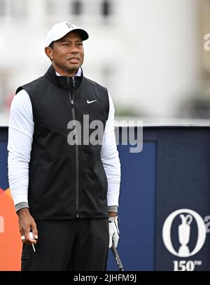 150th Open Golf Championships, St Andrews, luglio 15th 2022 Tiger Woods (USA) attende sul tee 2nd durante il secondo round al campo Vecchio di St Andrews Foto Stock