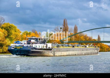 Chiatta sul fiume meno, Francoforte sul meno, Germania Foto Stock