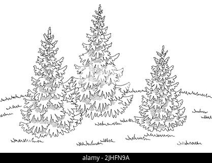 Forest glade grafico bianco nero disegno paesaggio vettore illustrazione Illustrazione Vettoriale