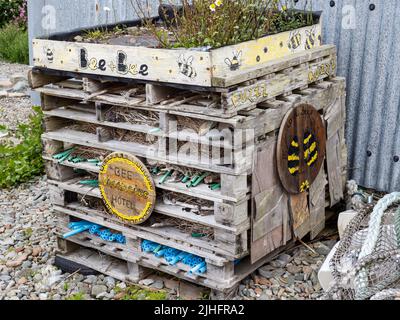 Un bug hotel nel giardino comune di Hillswick, Mainland Shetland, Scozia, Regno Unito. Foto Stock