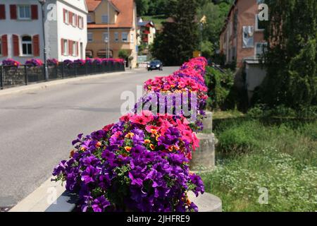 Petunia fiorita sulla ringhiera del ponte. Foto Stock