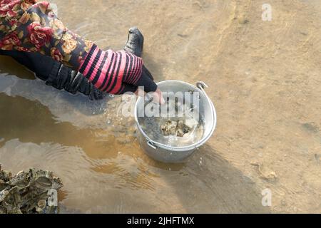 Ko Phangan, Thailandia, 15 marzo 2022: Donna che getta una vongola in un vaso sul mare Foto Stock