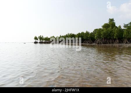 Ko Phangan, Thailandia, 15 marzo 2022: Vista panoramica di una mangrovia Foto Stock