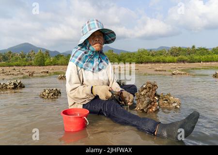 Ko Phangan, Thailandia, 15 marzo 2022: Ritratto di una donna anziana che lavora Foto Stock