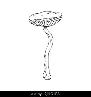 Logo raffigurante funghi. Tatuaggio funghi linea molto dettagliata art. Clip art bianco e nero su sfondo bianco. Incisione antica d'epoca Illustrazione Vettoriale