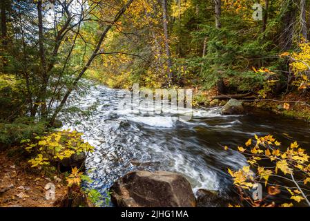 Rapide lungo un fiume attraverso una foresta colorata in autunno Foto Stock