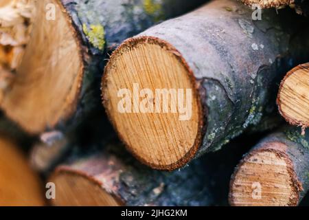 Legno defocus. Sfondo in legno naturale. Primo piano di legna da ardere tagliata. Legna da ardere accatastata e preparata per l'inverno pile di tronchi di legno. Primo piano. Tritato Foto Stock