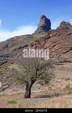 View on Roque Bentayga, Tejeda, Grand Canary, Isole Canarie, Spagna, Europa Foto Stock