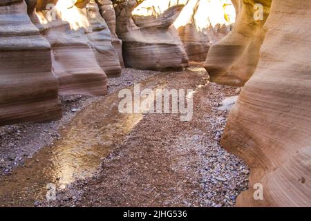 Un piccolo ruscello, che riflette le scogliere dorate circostanti, in un canyon slot a Willis Creek, Utah meridionale Foto Stock