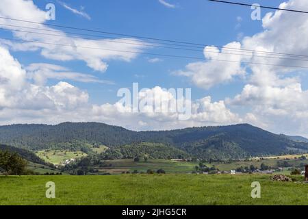 Prato di montagna in Carpazi. Campagna paesaggio estivo con valli e colline erbose. Concetto di freschezza della natura Foto Stock