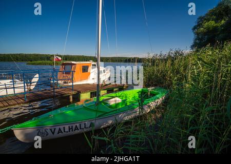 Jezioro Ostrowieckie, Polonia - Luglio 2020 : un piccolo molo e barche private sulla riva di un lago circondato da canneti e alberi sotto il cielo blu Foto Stock