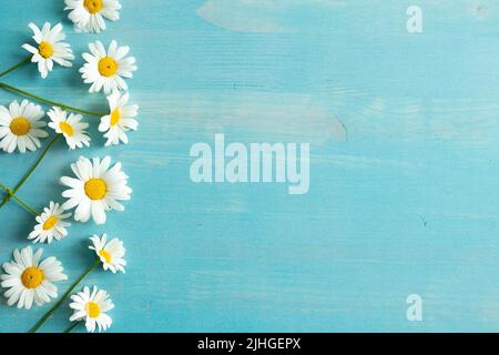 Bordo di fiori bianchi margherite con centri gialli luminosi su uno sfondo di legno blu con spazio copia Foto Stock