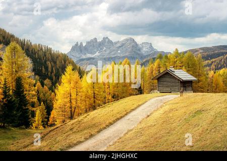 Incredibile vista autunnale sulla valle della Valfreda nelle Alpi dolomitiche italiane. Cabina in legno, erba gialla, foresta di larici arancioni e montagne innevate sullo sfondo. Dolomiti, Italia. Fotografia di paesaggio Foto Stock