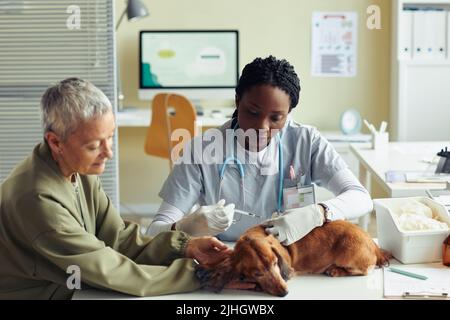 Ritratto di giovane veterinario femmina che dà iniezione al cane piccolo con il proprietario senior Foto Stock