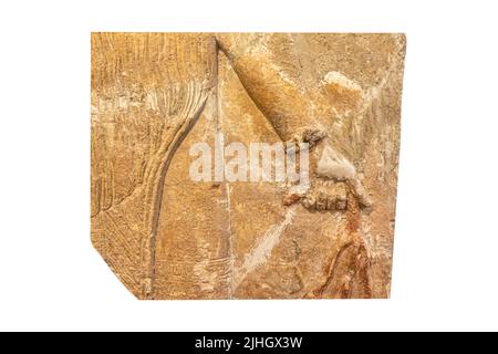 Prete che tiene un germoglio - dettaglio - rilievo dal palazzo di Sargon II a Dur-Sharrukin (Khorsabad) - calcare - Museo dell'Ermitage del 8th secolo a.C. Foto Stock