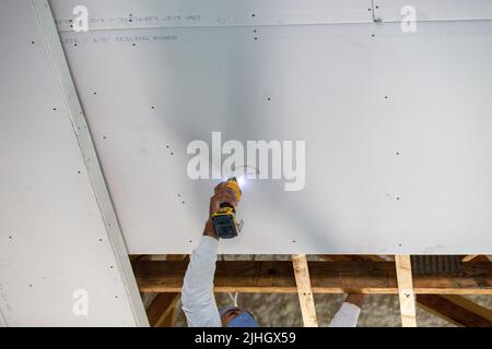 il drywaller professionale sta tagliando un foro nel pannello a muro a secco da soffitto appena installato per un apparecchio di illuminazione con una sega elettrica. Nuova costruzione. Foto Stock