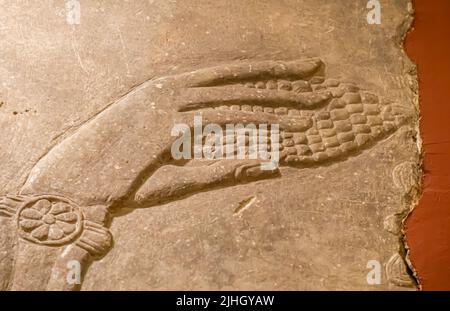 Divinità per l'albero sacro. Dettaglio. Frutta. Rilievo dal palazzo di Ashurnasirpal II a Kalhu, (Nimrud) - pietra calcarea - IX secolo a.C. Museo dell'Hermitage Foto Stock