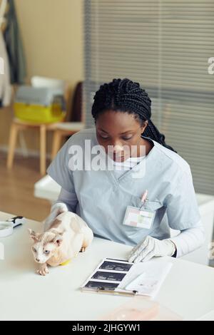 Ritratto verticale di giovane veterinario femmina che esamina il gatto in clinica di veterinario e guarda le immagini ecografiche Foto Stock