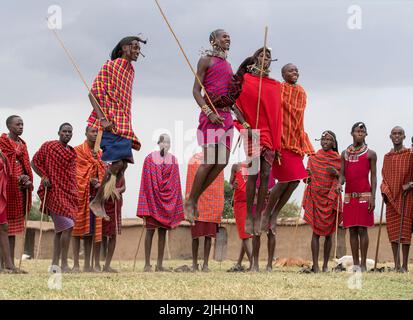 I Maasai preformano la tradizionale danza jumping in un villaggio Maasai a Maasai Mara, Kenya. Foto Stock