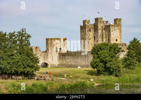 Castello di Trim, Co. Contea di Meath, Irlanda Foto Stock