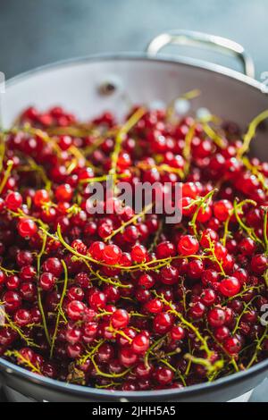 Ribes rosso maturo in un colino. Foto Stock