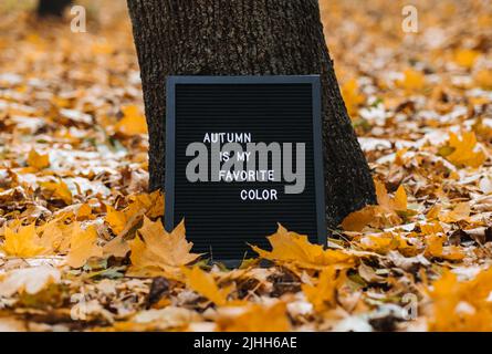 Lettera messaggio bordo con testo Autumn è il mio colore preferito. Citazioni di motivazione autunnali Foto Stock