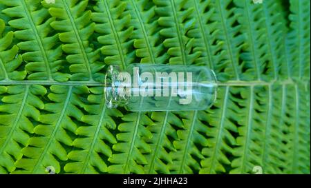 Una bottiglia vuota sullo sfondo di una foglia di felce verde. Contenitore in vetro per prodotti cosmetici per la cura della pelle. Foto Stock
